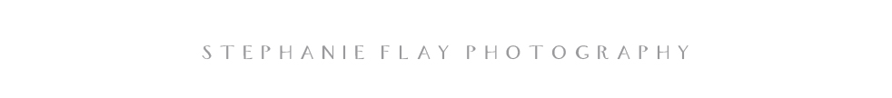 Stephanie Flay Photography