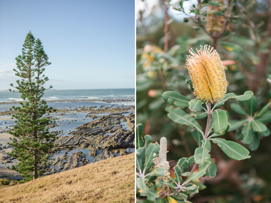 Grafton wedding photographer - 01