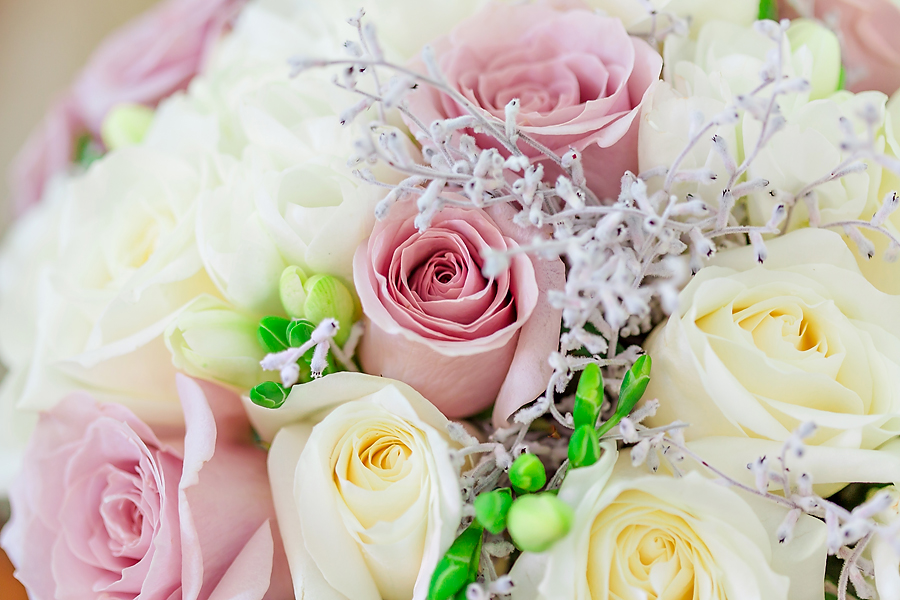 Grafton wedding photographer - 06