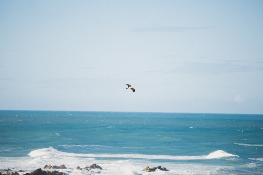 Grafton wedding photographer - 33