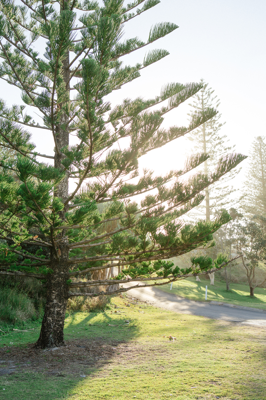 Grafton wedding photographer - 47