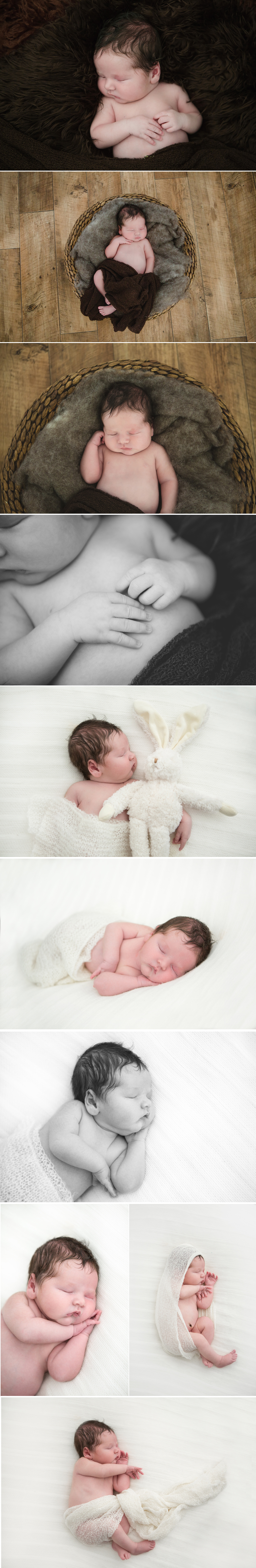 Grafton Newborn Photographer