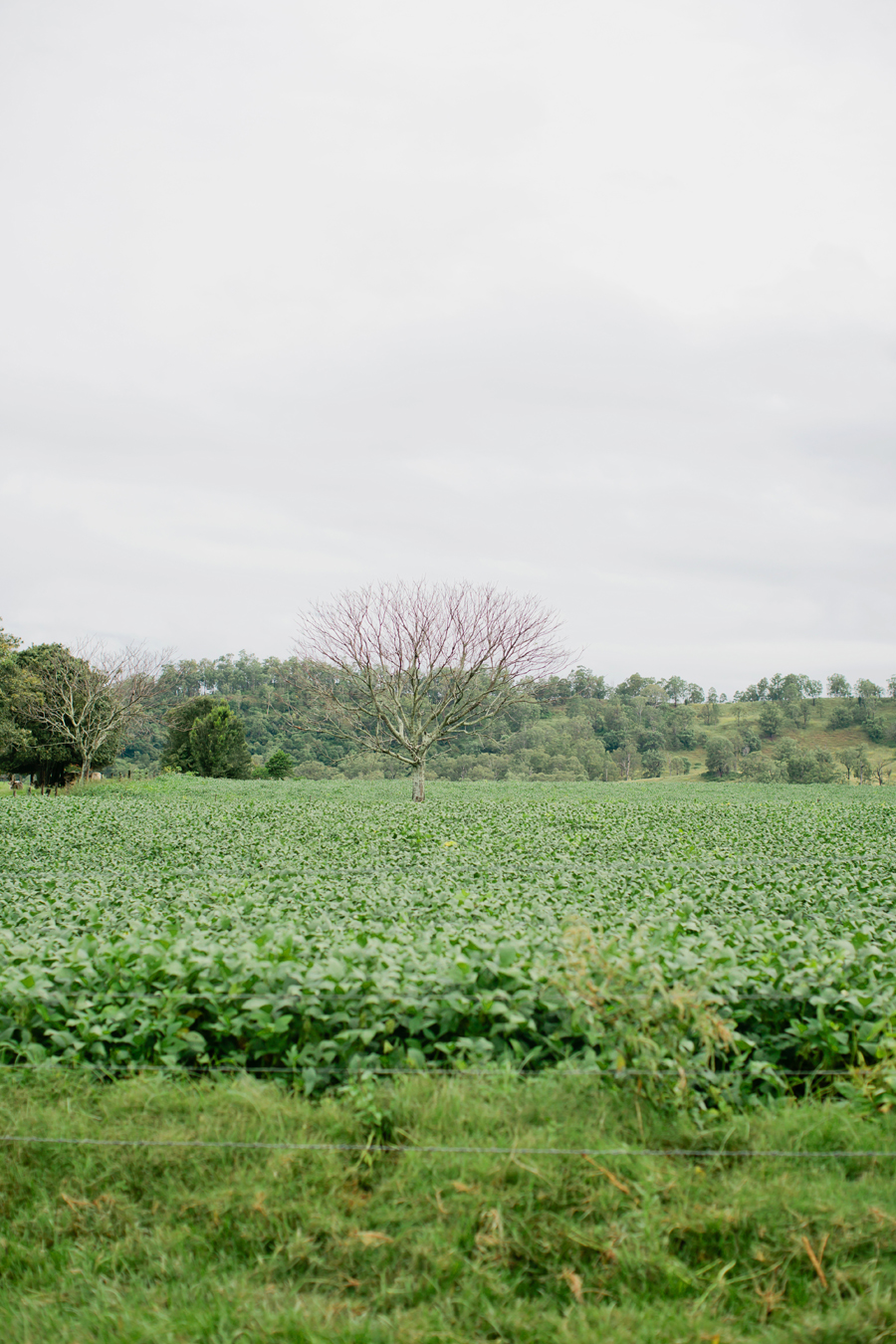 Nicole and Jaye -059-