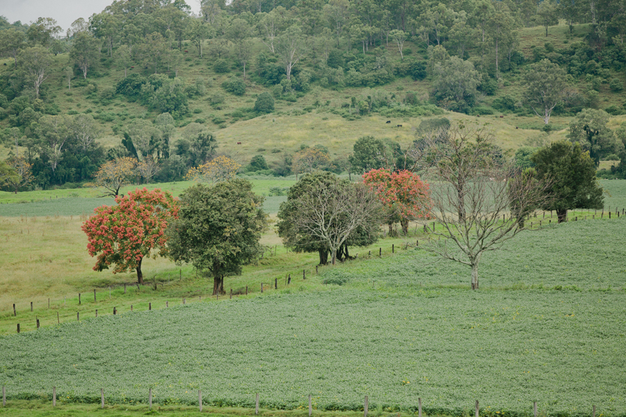 Nicole and Jaye -060-