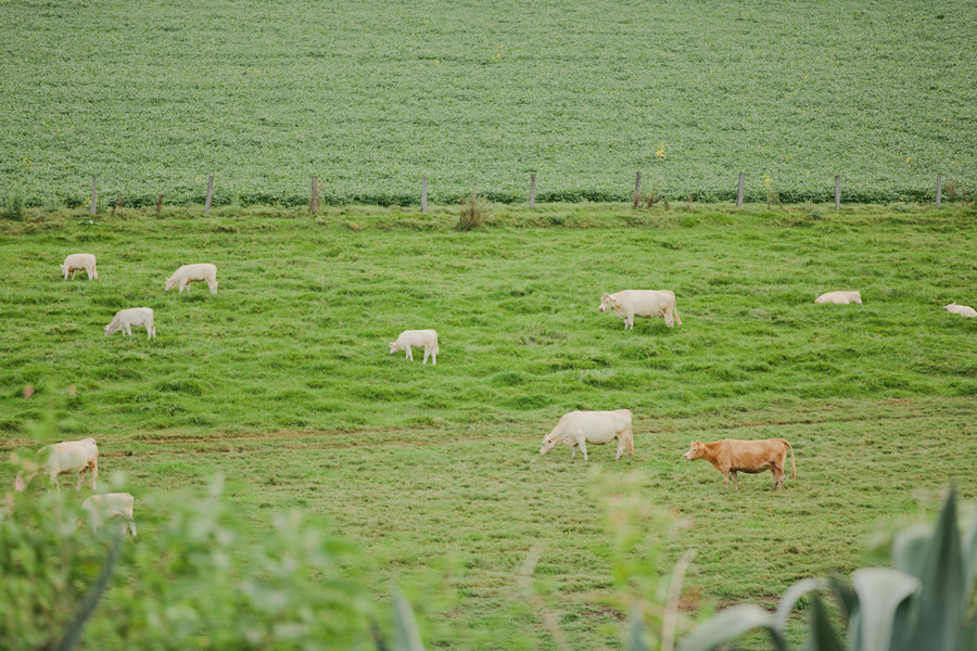 Nicole and Jaye -061-