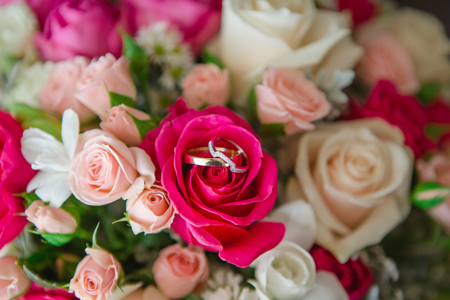 Grafton wedding photographer- 001 -