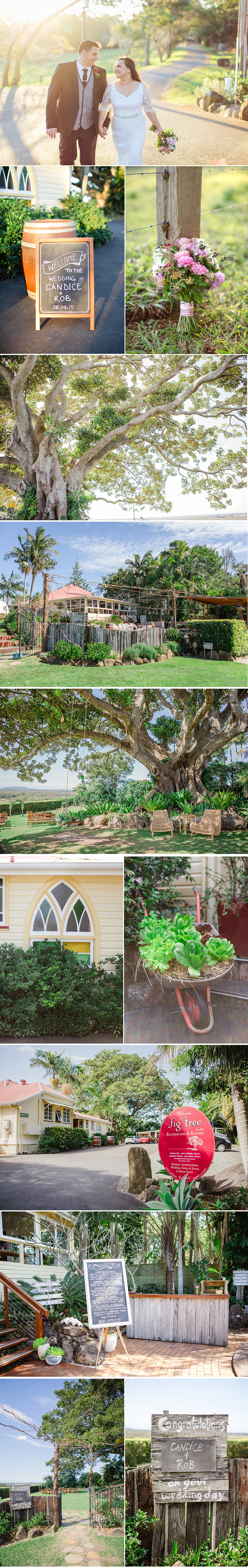 Candice and Rob Blog 1