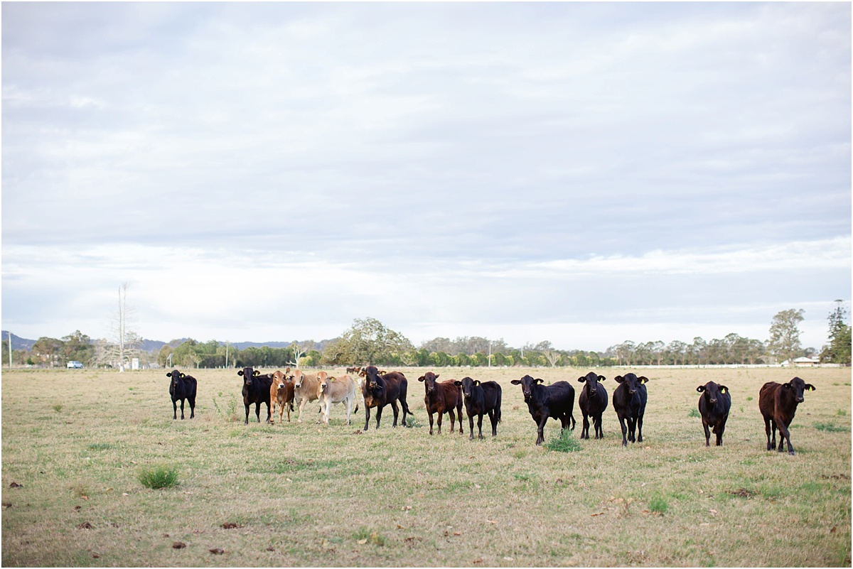 Australian Country wedding- 051-