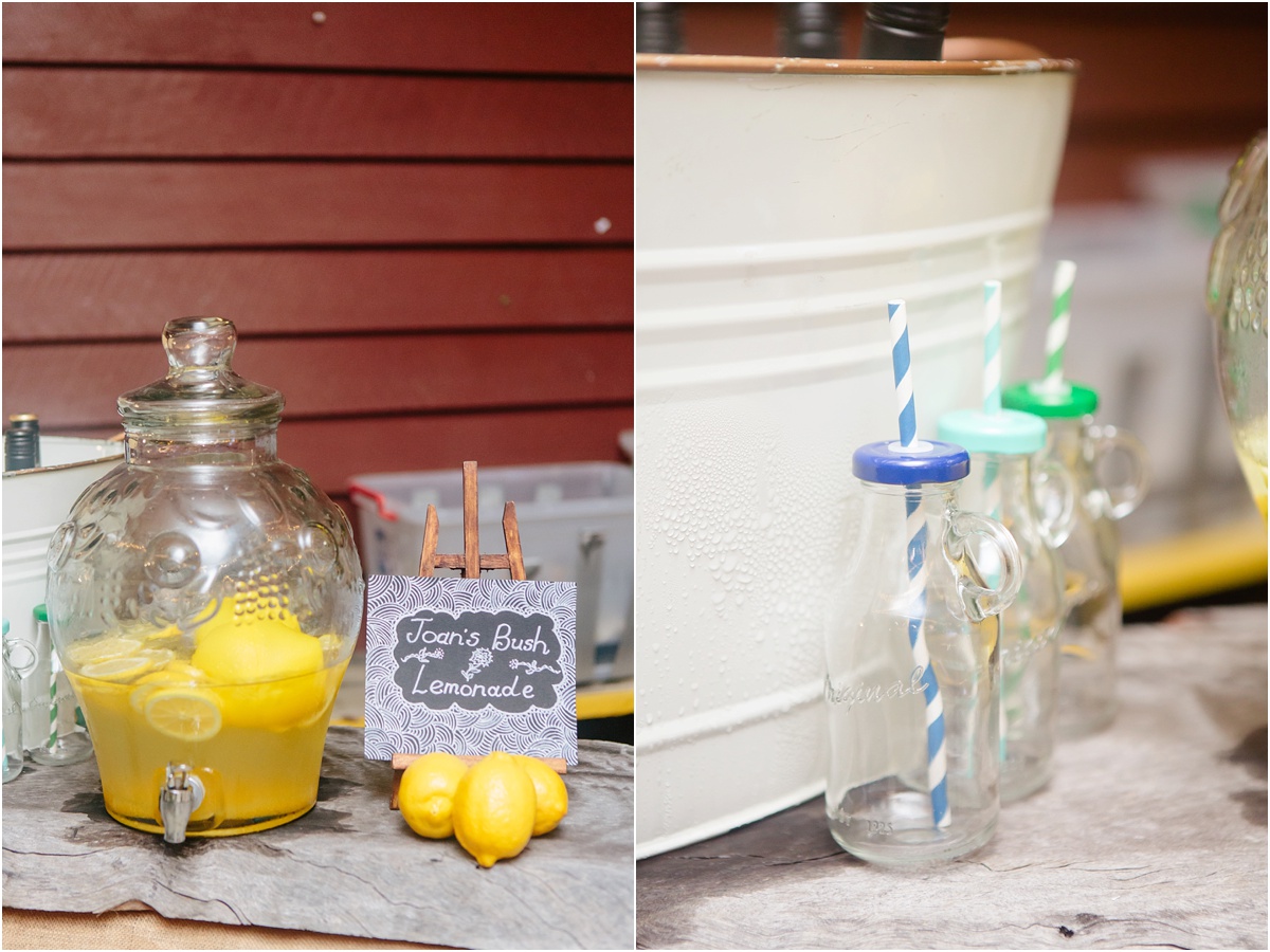 Australian Cane farm wedding_0091