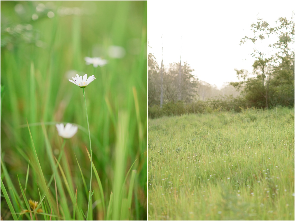 Grafton Maternity Photographer_0018