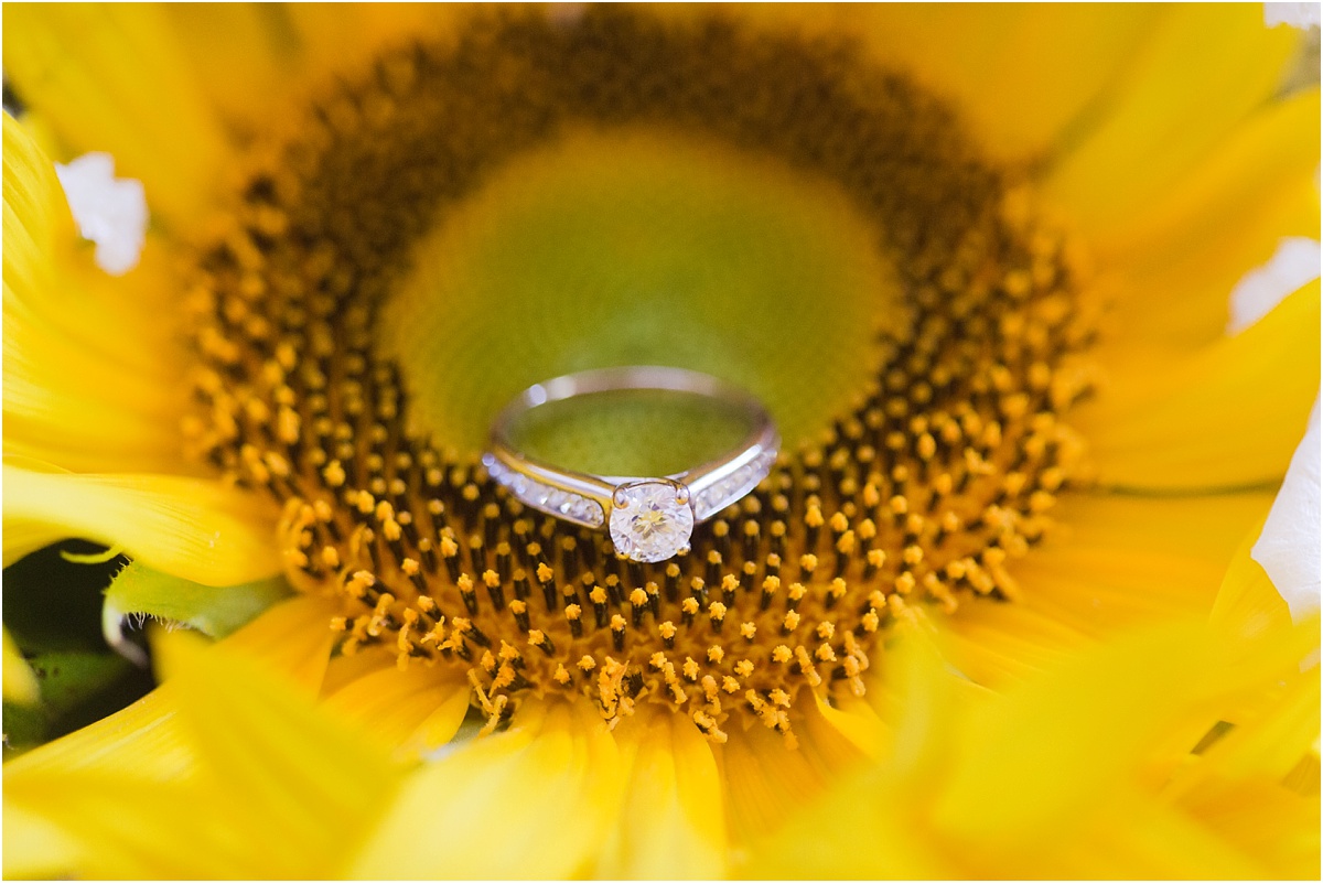 Sunflower Wedding_0034