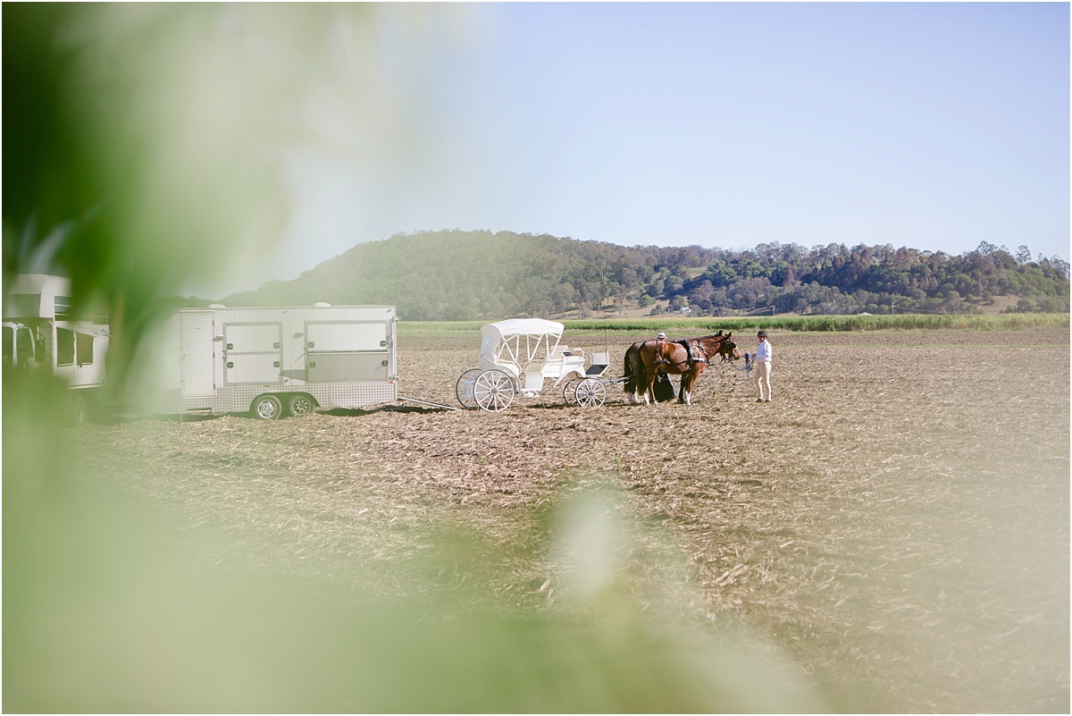 maclean-wedding-photographer_0023