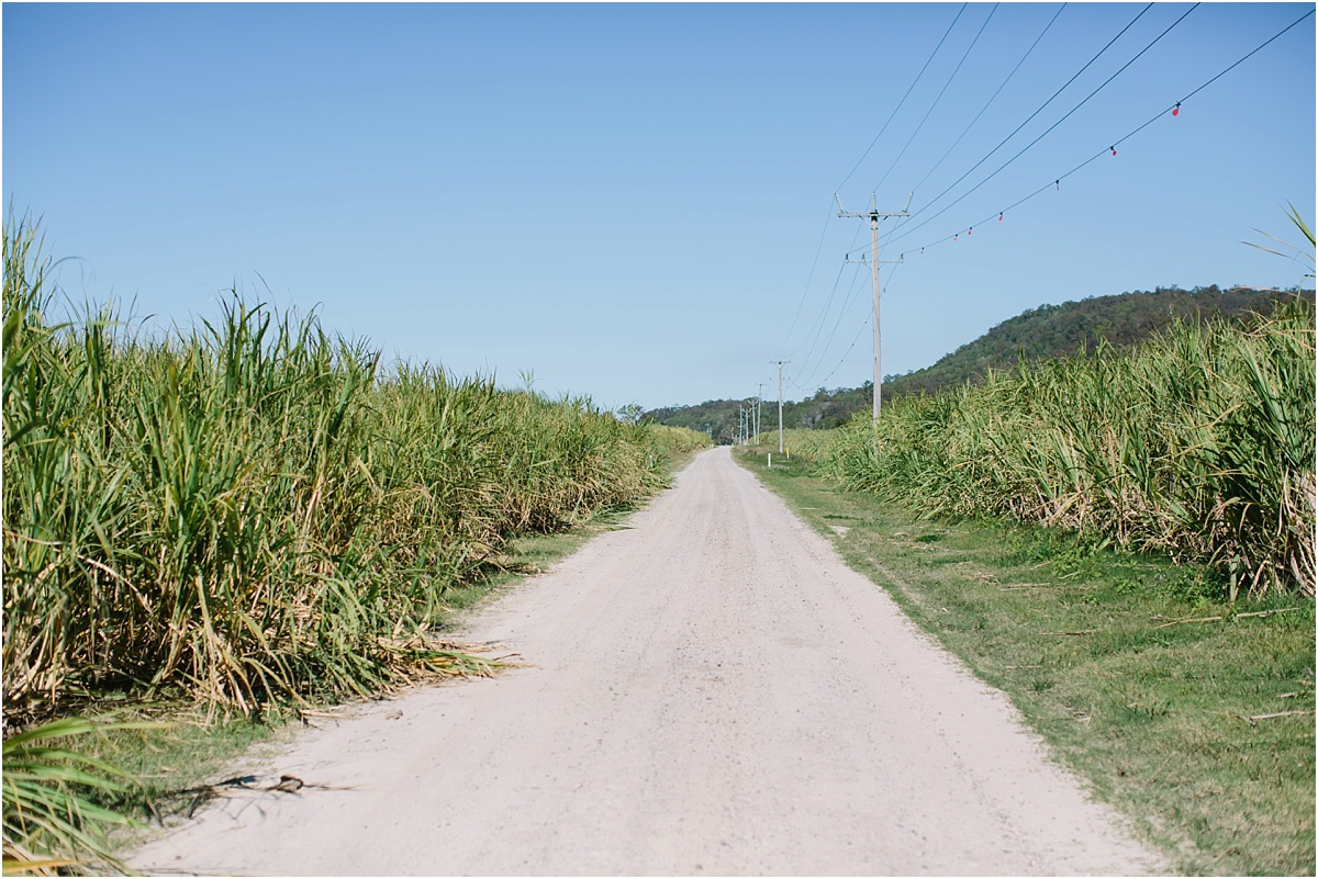 maclean-wedding-photographer_0037