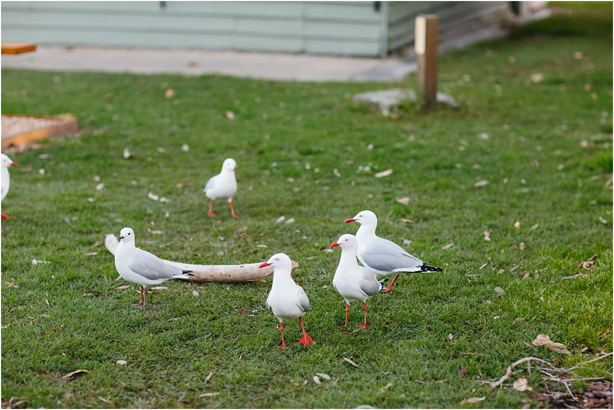 coffs-harbour-wedding-photographer_0092