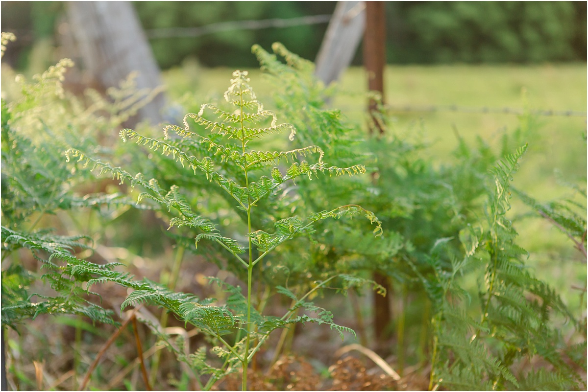 Glennifer wedding photographer_0002