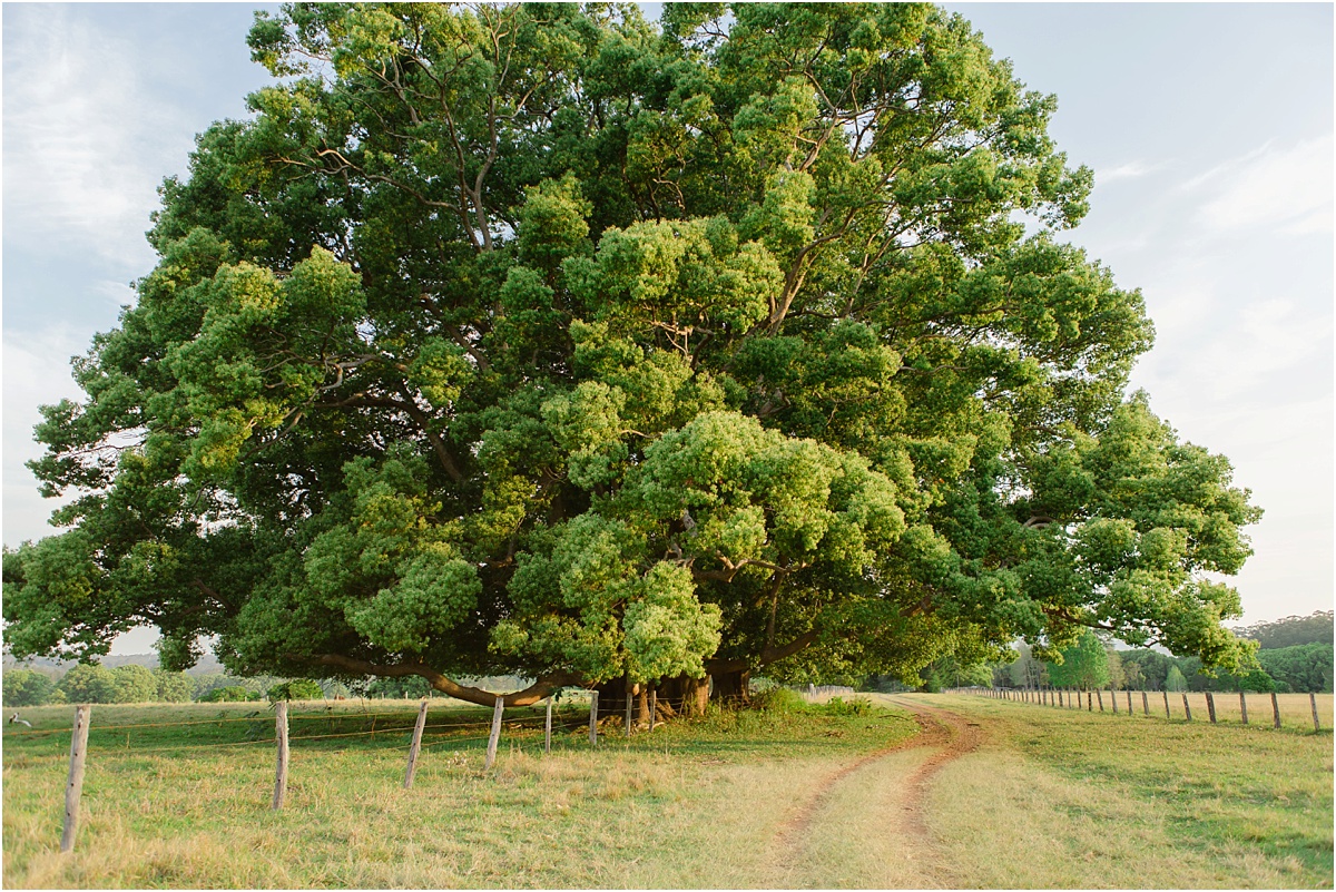 Glennifer wedding photographer_0006