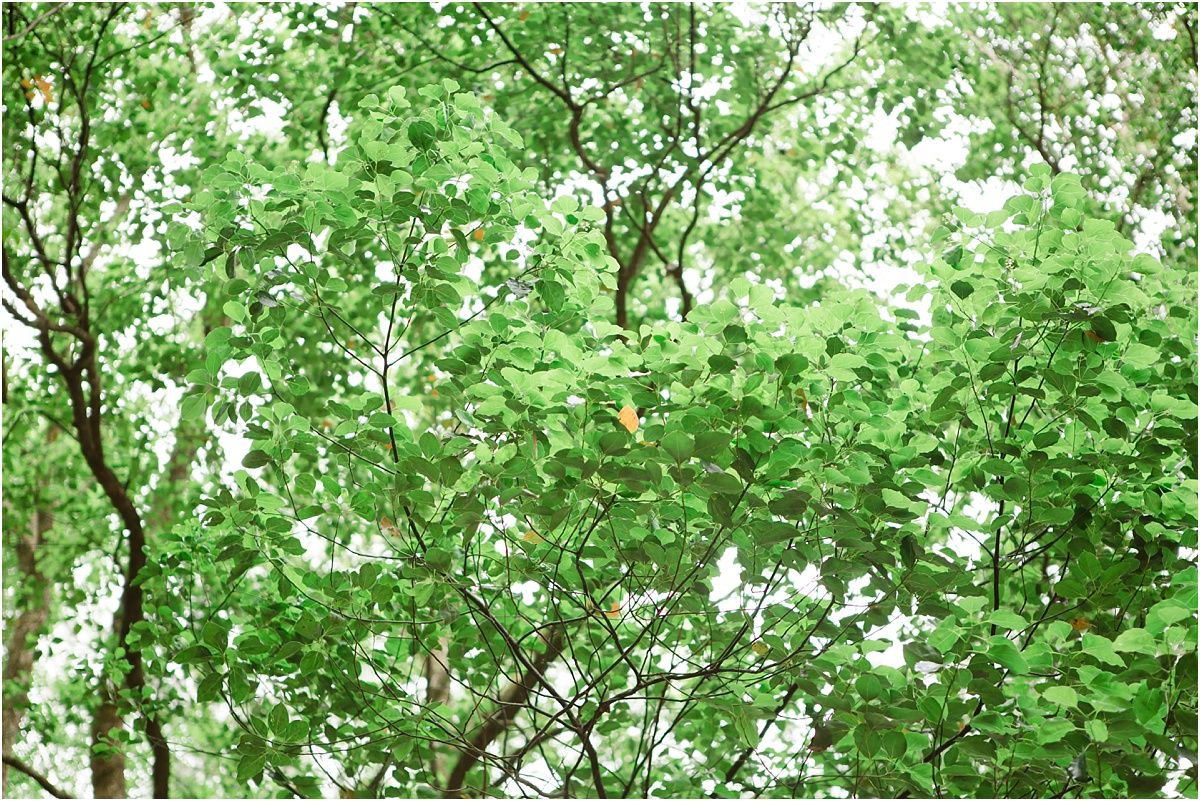 Glennifer wedding photographer_0008