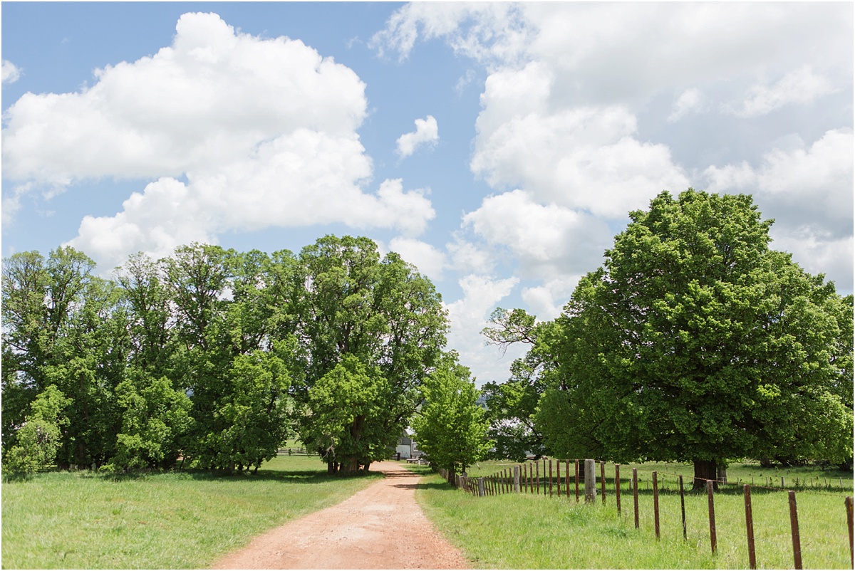 Armidale Wedding Photographer_0001