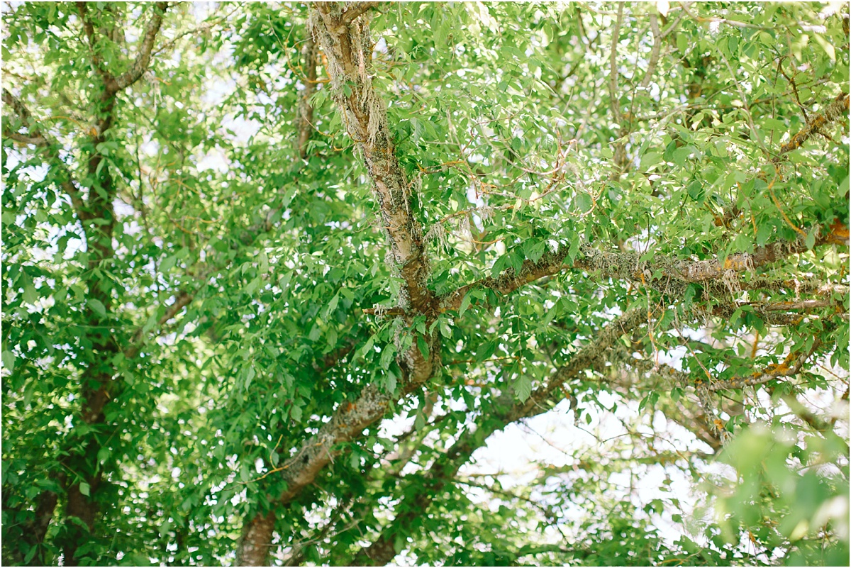 Armidale Wedding Photographer_0003