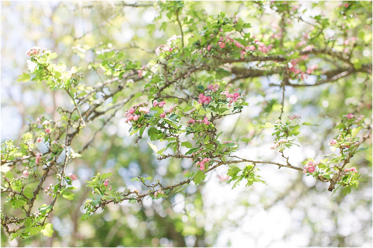 Armidale Wedding Photographer_0007