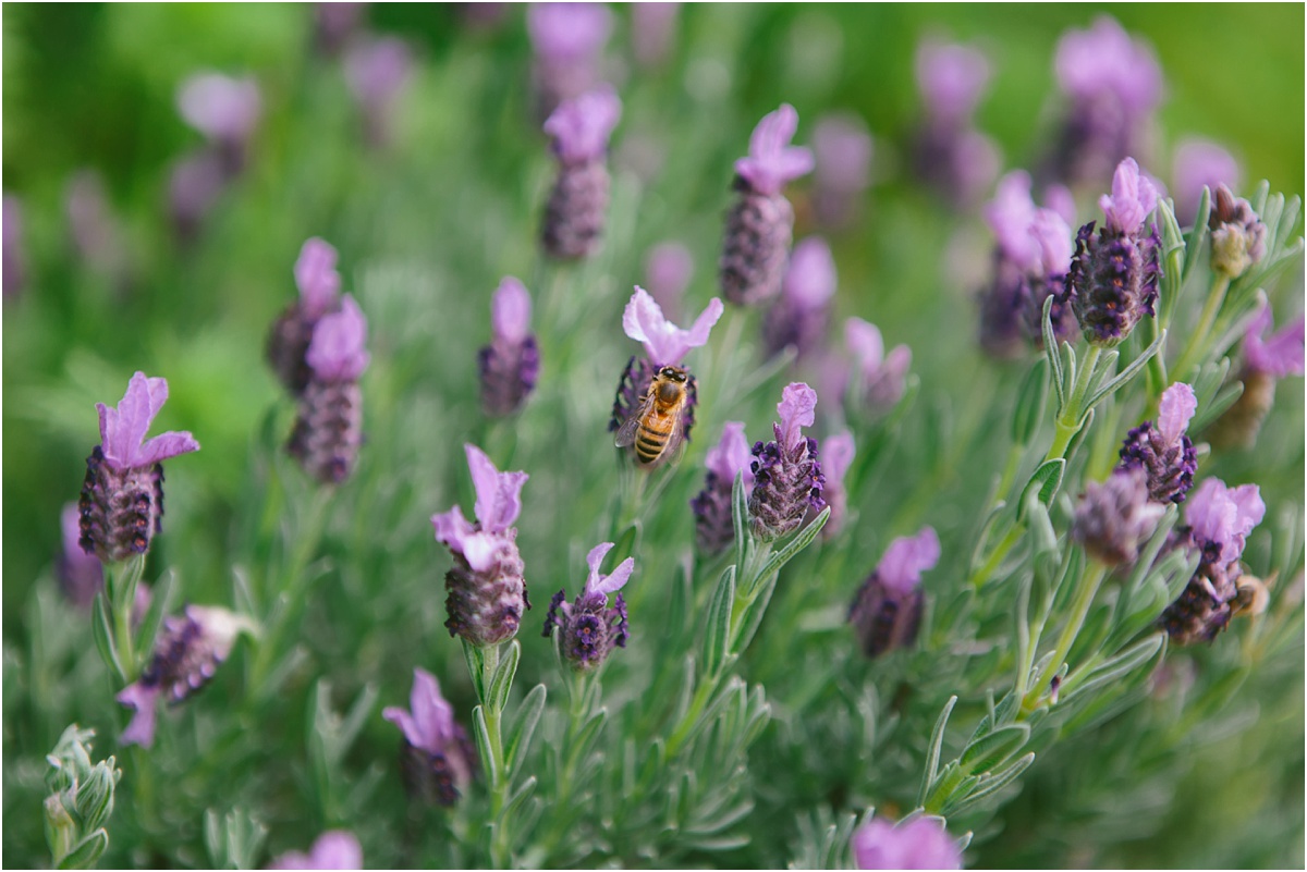 Armidale Wedding Photographer_0010