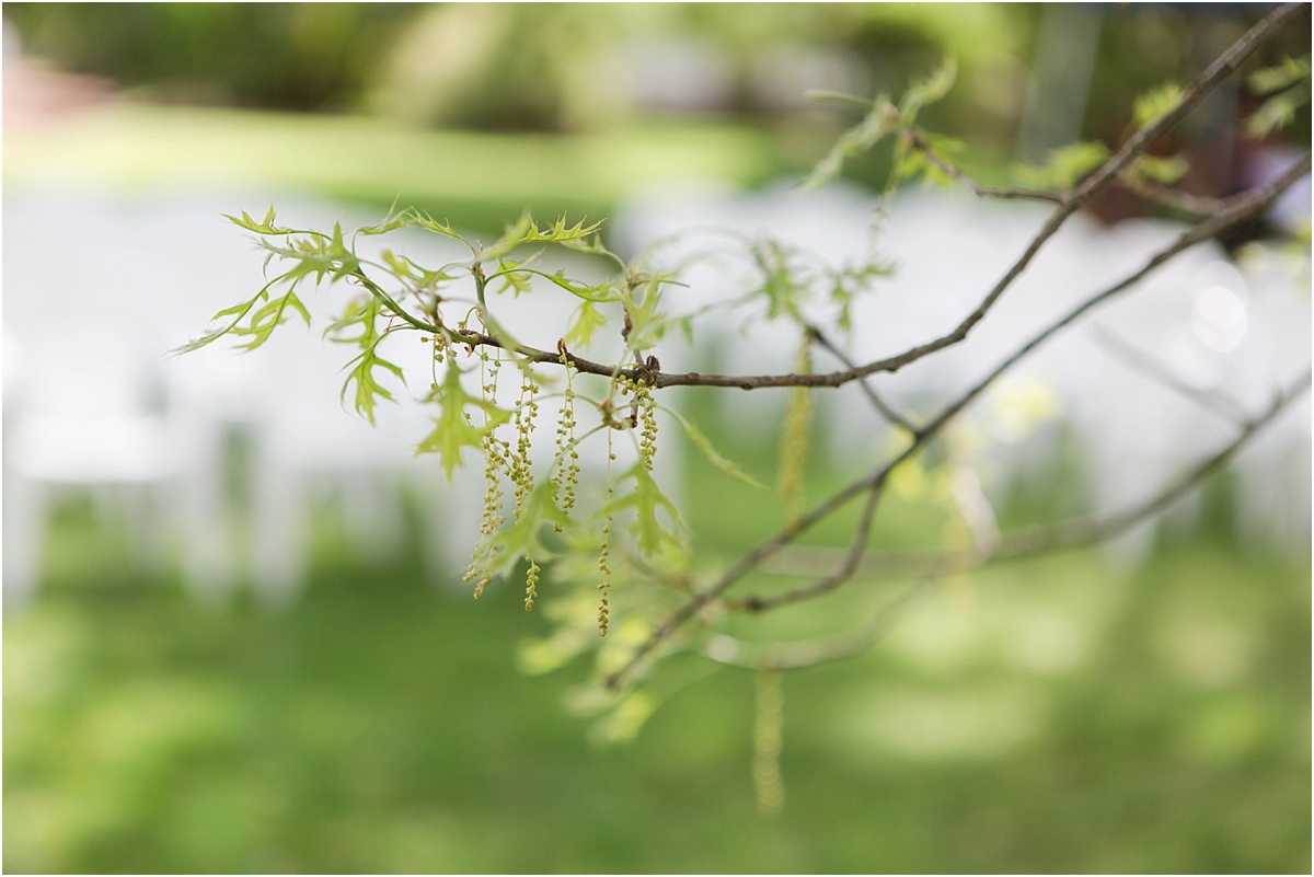 Armidale Wedding Photographer_0027