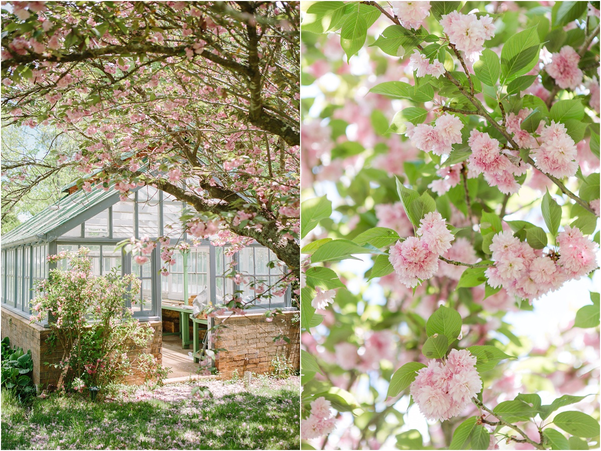 Armidale Wedding Photographer_0051