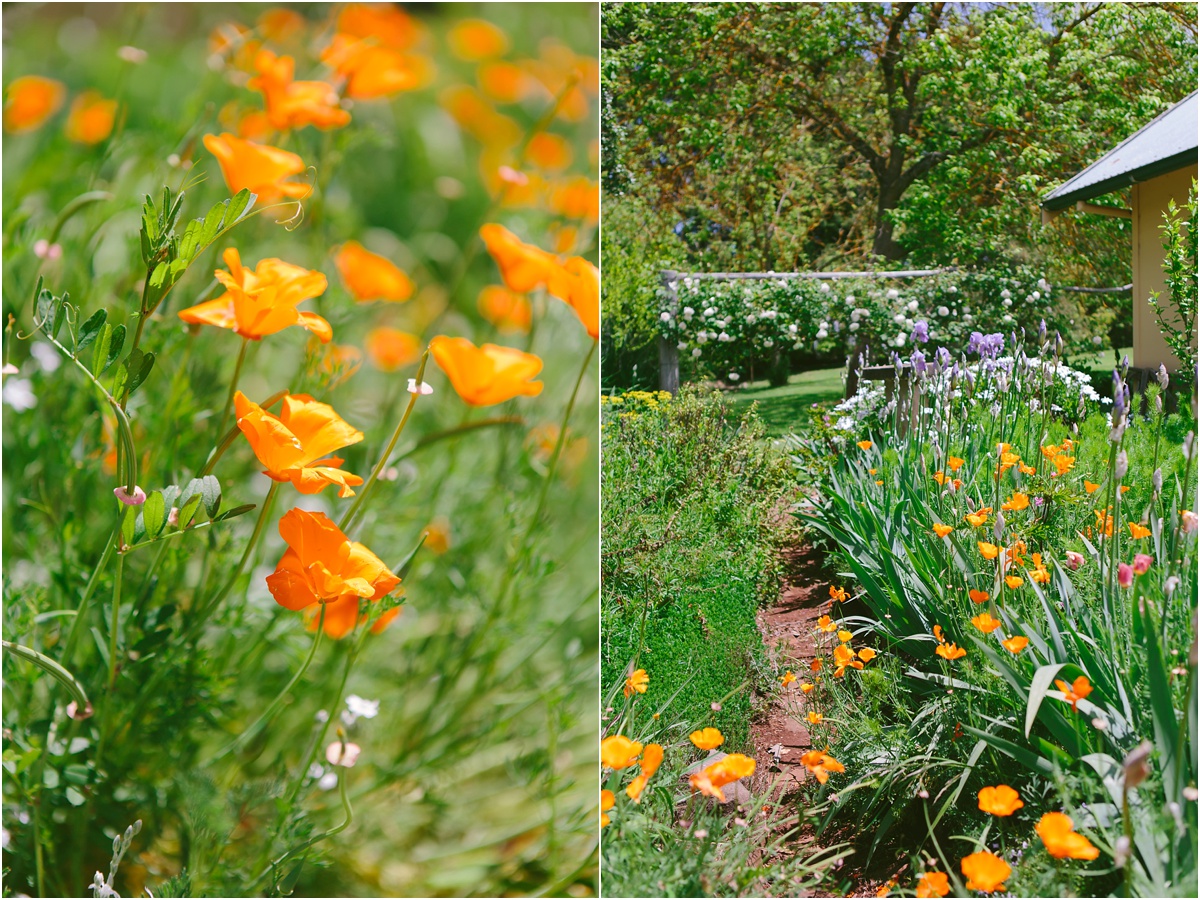 Armidale Wedding Photographer_0078