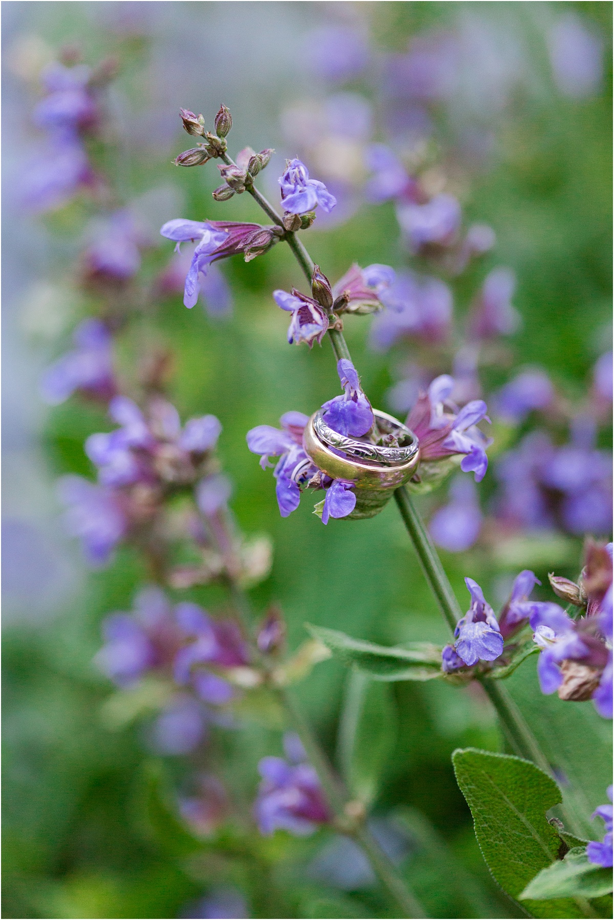 Armidale Wedding Photographer_0089