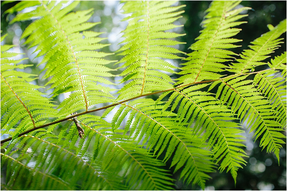 Bonville Wedding Photographer - 0032