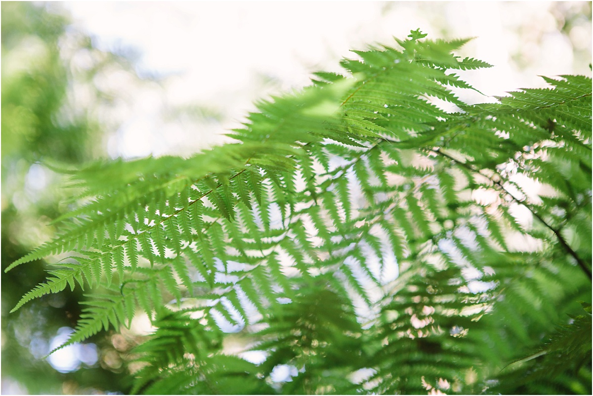 Bonville Wedding Photographer_0500