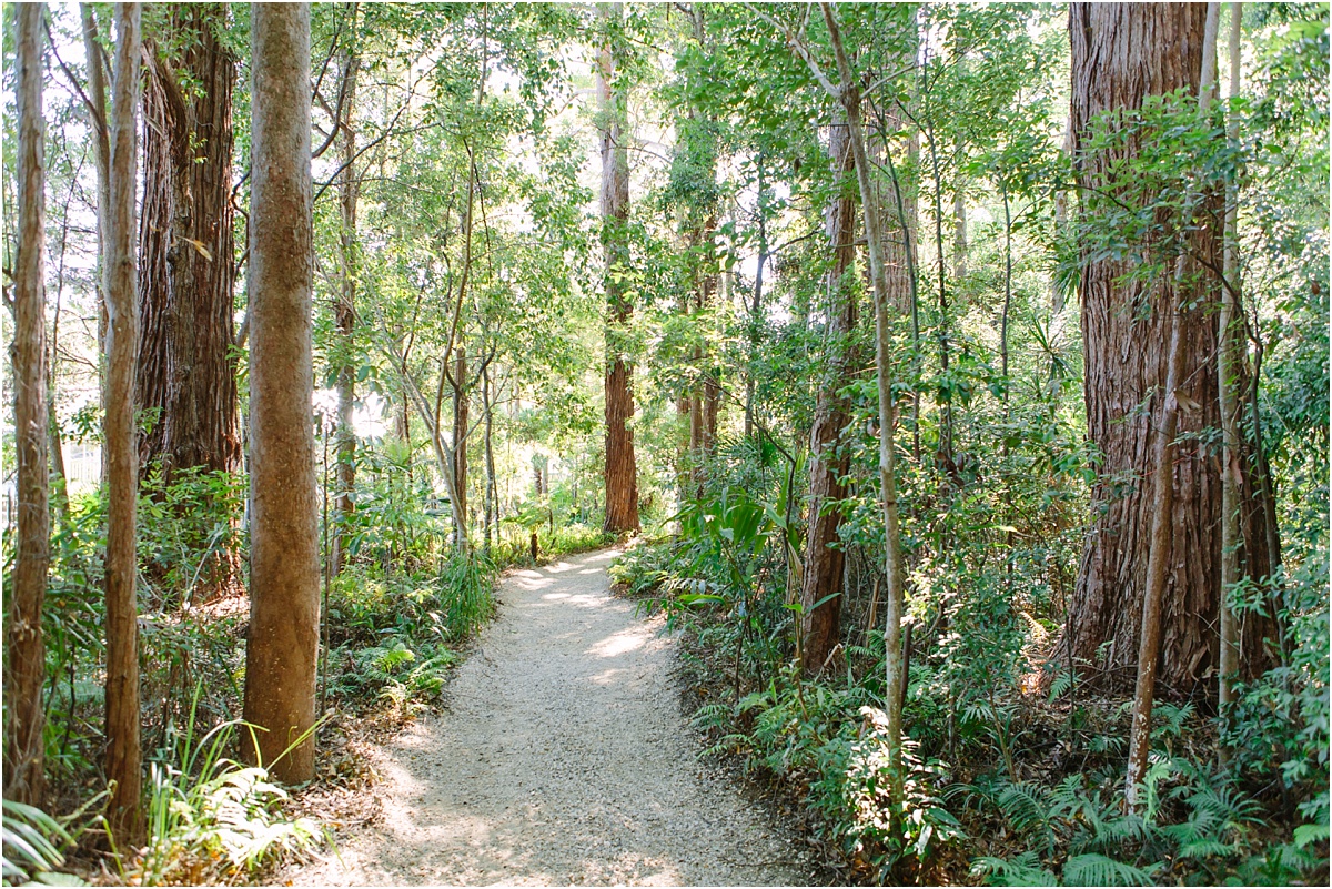 Bonville Wedding Photographer_0502