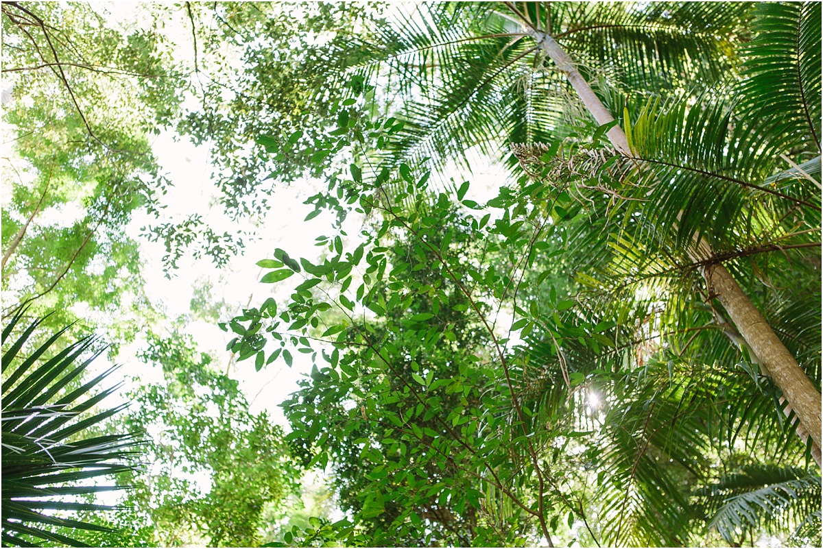 Bonville Wedding Photographer_0534