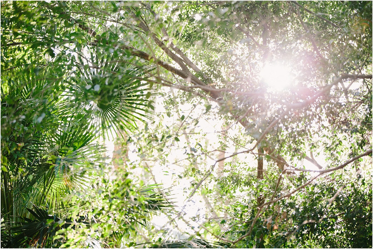 Bonville Wedding Photographer_0556