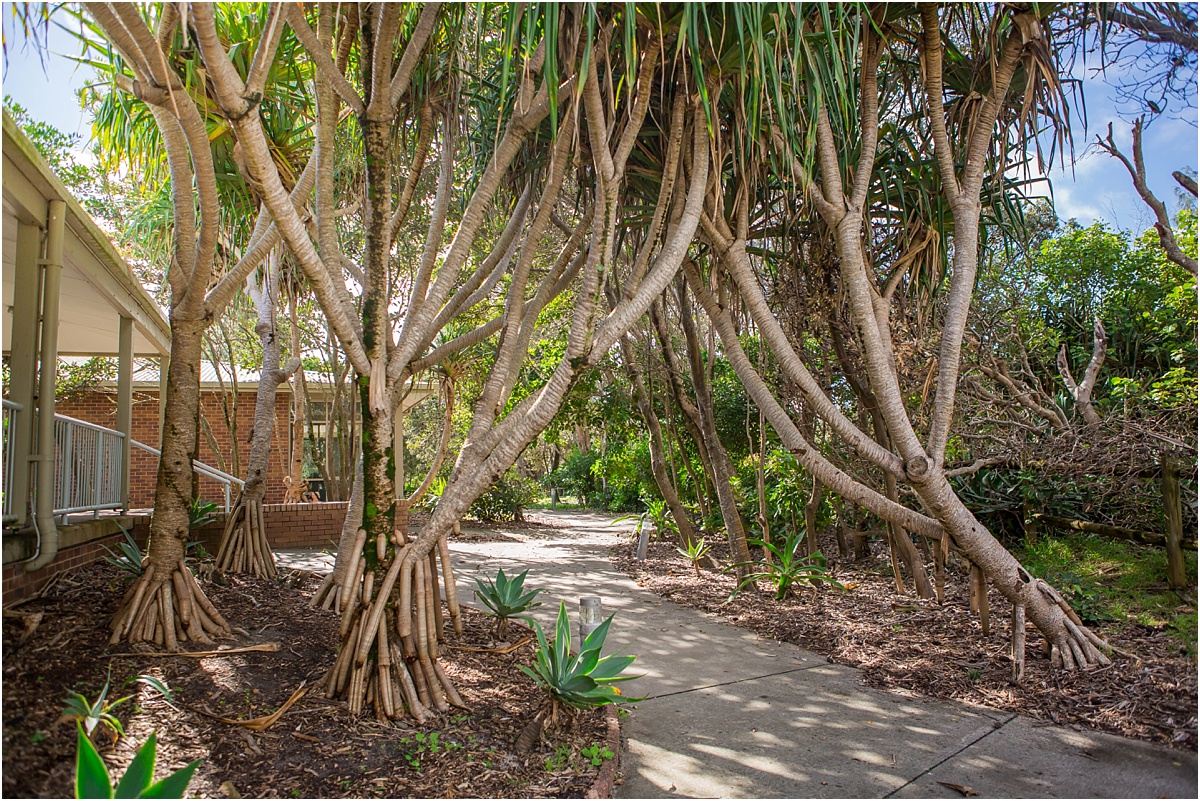 Lennox Head Wedding Photographer_0021