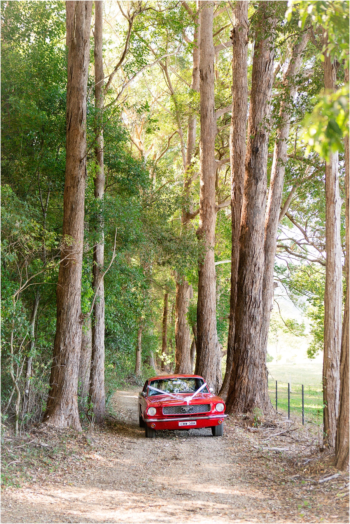 Bonville wedding Photographer_0126